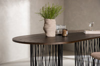Spisebord Stein 100×220