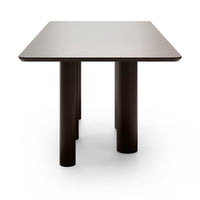 Bordplate Ritro – tre / eikefinér, valnøtt / 200 cm