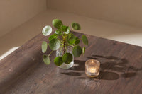 Sofabord York 80 x 80 – mocca