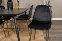 Spisebord Gold & Polar rektangulært 180 x 85 + spisestol 2-pakk – svart