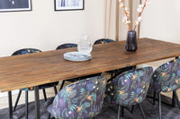 Spisegruppe Padang & Velvet 250 x 100 + 2-pakk spisestoler – natur og svart