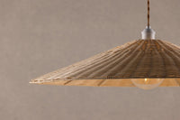 Taklampe Herrestad – natur