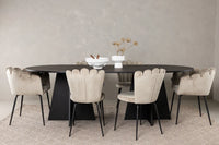 Spisestol Limhamn & Bootcut 2-pakk beige + Spisebord ovalt 230 x 115 – svart