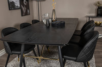 Spisegruppe Gold & Velvet 180 x 85 med 2-pakk spisestoler – svart