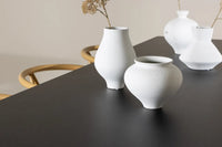 Spisegruppe 230 x 85 – beige og svart