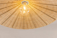 Taklampe Herrestad – natur