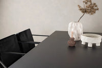 Spisestol 2-pakk + rektangulært spisebord 200 × 100 – svart